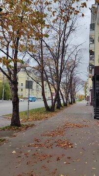 autumn city street