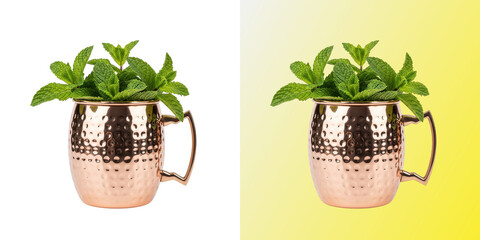 Fresh green mint leaves inside a hammered copper mug © JKFeloxy