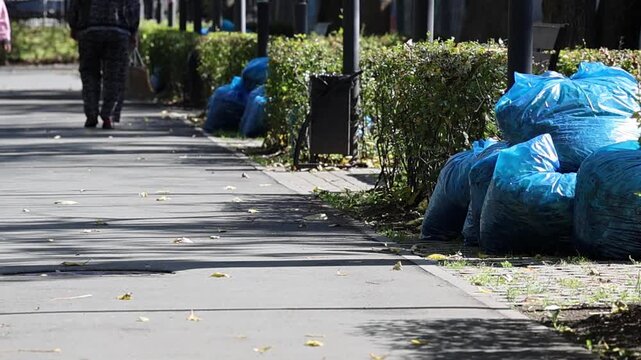 Blue plastic bags filled with gathered dried leaves stand in the park by the pedestrian path. Waste collected by municipal maintenance crews sits in blue bags along the park walkway on a sunny autumn 