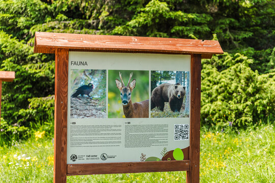 Fauna Information Board in Durmitor Forest Montenegro