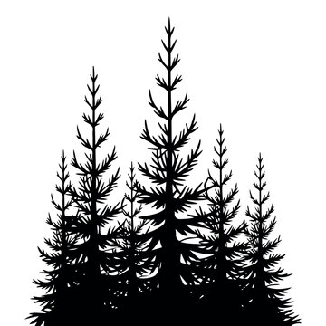 Minimalist Pine Forest Silhouette Vector Illustration. Black and White Conifer Tree Silhouettes on Light Background. Minimal Pine Trees Silhouette Modern Forest Wall Art. 