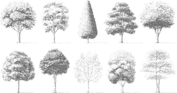Ten distinct stippled tree diverse shapes. delicate dot work. organic forms. nature's artistry trees