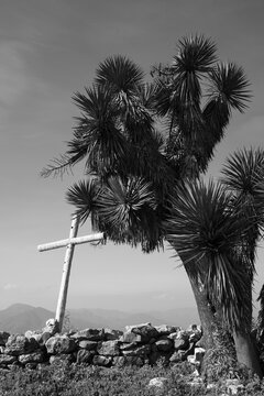 Wooden cross and spiky yucca tree on a stone wall