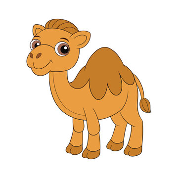 Cute Camel Vector Illustration With Adorable Desert Animal Character