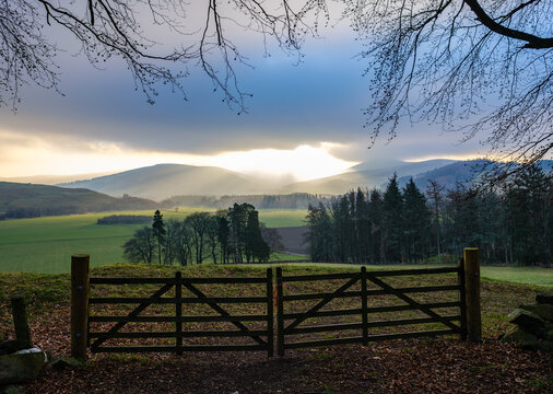Scottish Borders Farm Gate Landscape View