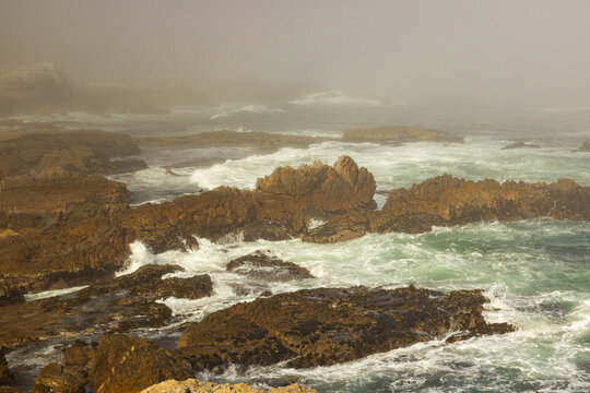rock formations in fog filtering through late afternoon sunlight, Hermanus, South Africa