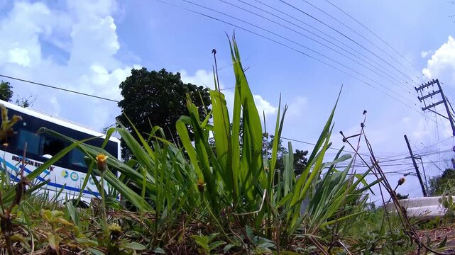Grass and sky. clouds. Cars and motorcycles are driving along the highway. Asia, Leyte island. Time lapse.