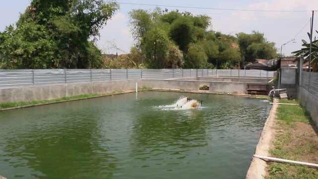 Freshwater fish pond with green water and active aerator in rural Java, Indonesia, showing small-scale aquaculture and traditional fish farming in a village setting.