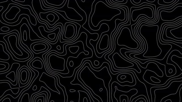 Animated Topographic Contour Lines Background, Abstract Flowing Terrain Map Pattern Motion Graphic for Technology, Background, Navigation and Modern Design in 4K.