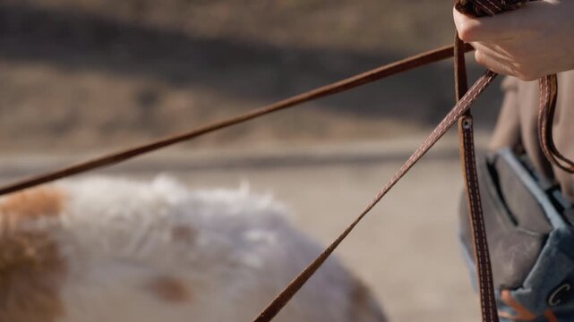 Person holds coiled brown leather leash with white stitching wearing casual outdoor clothing. fluffy dog is partially visible in background on unpaved path under natural daylight. scene