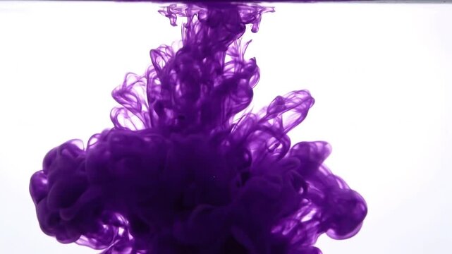 Deep purple ink cloud swirling down in clear water dynamic slow motion abstract beautiful liquid diffusion background footage.