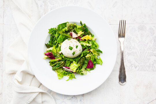 A fresh burrata salad with grilled asparagus sits on a white plate