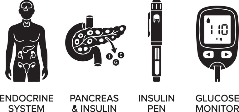 Medical vector infographics depicting the human endocrine system pancreas insulin secretion and glucose monitoring.