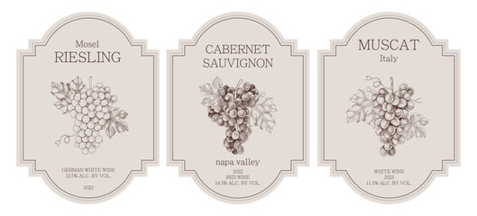 Fototapeta premium Wine labels with hand drawn grapes illustrations in vintage style