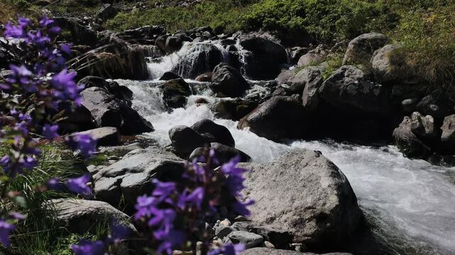 A slow-motion view of the stream flowing through Elevit Plateau in Rize, T&uuml;rkiye