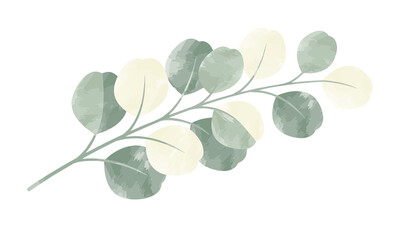 Watercolor eucalyptus branch with muted green leaves, botanical foliage illustration, elegant floral graphic element for wedding stationery isolated on Transparent Background © riponhossain