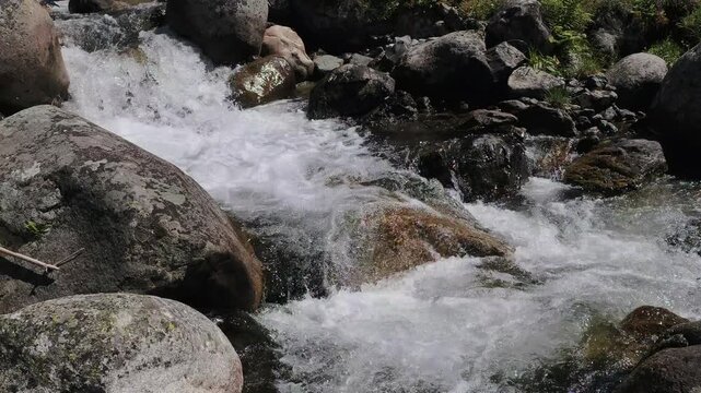 A slow-motion view of the stream flowing through Elevit Plateau in Rize, T&uuml;rkiye