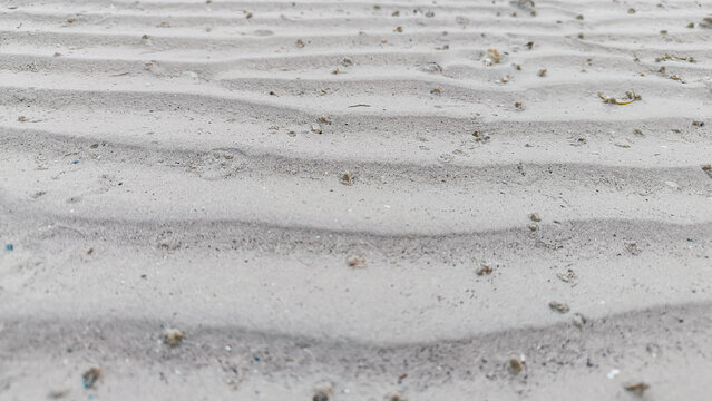 Wide Sand Ripple Texture on Tidal Flat for Nature Banner Backgro
