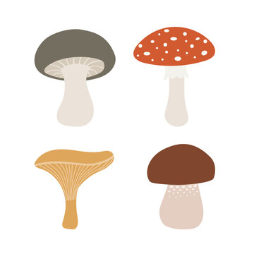 Set of four colorful mushroom illustrations isolated on white background