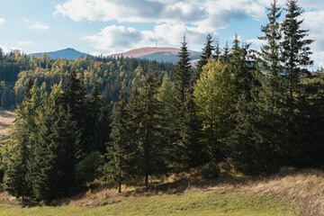 Spruce forest and mixed woodland on a mountain slope below the Kráľova hoľa summit, Low Tatras, Slovakia © hopsalka