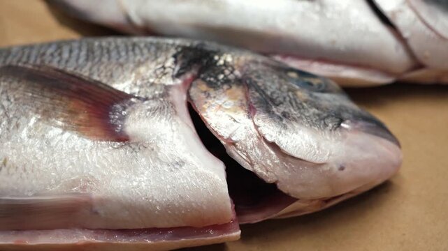 Close up of a fresh whole sea bream at a fish market, showing its silver scales and natural texture. High quality 4k footage