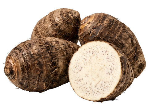 Fresh taro roots with a cut section showing texture isolated on transparent background