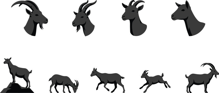 Goat and Mountain Ibex Silhouette Icon Set Featuring Animal Head Portraits and Full Body Poses Standing Grazing and Running for Livestock Branding