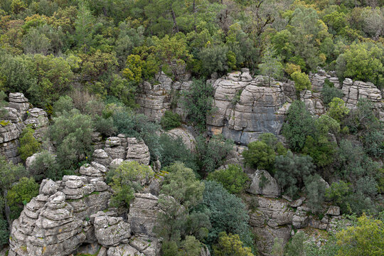 he image shows the rugged rocky cliffs and green forests of K&ouml;pr&uuml;l&uuml; Canyon National Park (specifically near Tazı Canyon) in Manavgat, Antalya, T&uuml;rkiye.