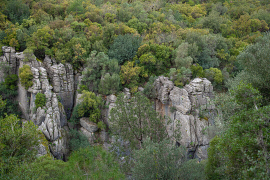 he image shows the rugged rocky cliffs and green forests of K&ouml;pr&uuml;l&uuml; Canyon National Park (specifically near Tazı Canyon) in Manavgat, Antalya, T&uuml;rkiye.