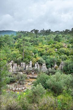 he image shows the rugged rocky cliffs and green forests of K&ouml;pr&uuml;l&uuml; Canyon National Park (specifically near Tazı Canyon) in Manavgat, Antalya, T&uuml;rkiye.