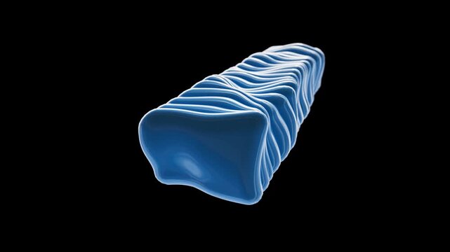 3D Abstract Blue Glossy Organic Bar Deforming Animation on Black Background