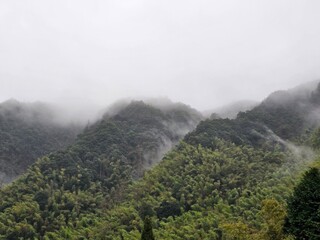 Misty green mountain slopes covered by drifting fog © TAO