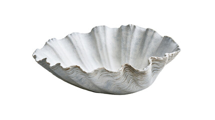 Large white textured giant clam shell bowl © Fionnan