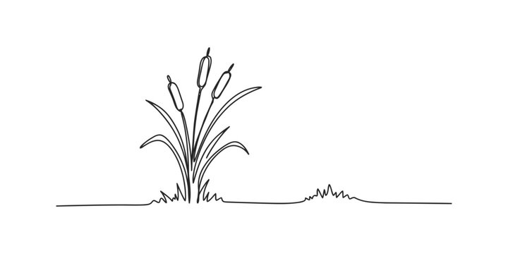 Continuous single line drawing of cattail plants in a marshy wetland area