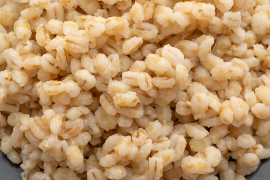 Boiled pearl barley, cooked wheat groats close up