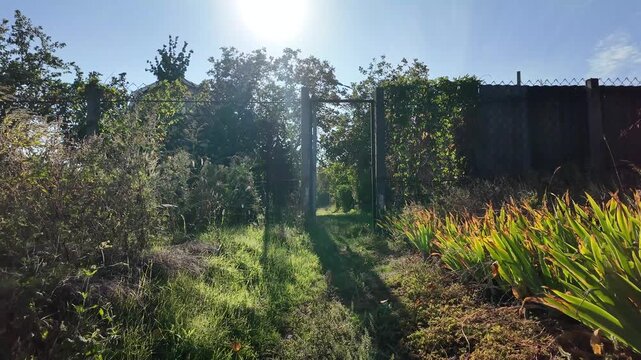 Cinematic slow camera motion through an open old rusty gate into a sunny green backyard path. Sunlight glints through overgrown trees and grass in a rustic countryside garden.