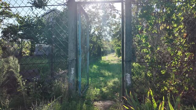 Cinematic slow camera motion through an open old rusty gate into a sunny green backyard path. Sunlight glints through overgrown trees and grass in a rustic countryside garden.