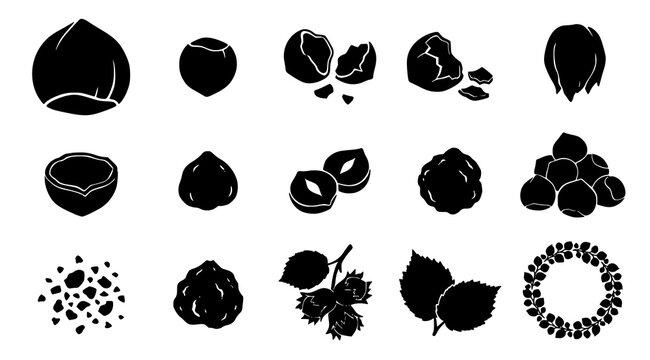 Hand Drawn Hazelnut Nuts Shells and Botanical Elements Vector Set