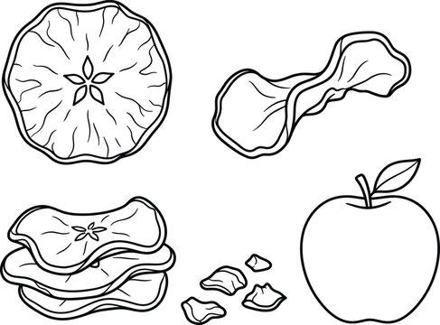 Dried apple chips crunchy ring slices and fresh whole fruit doodle line art vector set