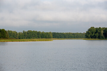 Szeroka panorama spokojnego jeziora w otoczeniu gęstych zielonych lasów i pasma trzcin pod stonowanym niebem © Kamil_k2p
