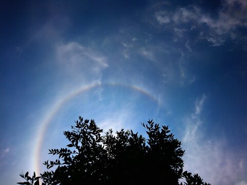 Atmospheric natural halo phenomenon forming faint luminous arc across deep blue sky, framed by dark tree canopy silhouette and soft scattered clouds. Serene celestial landscape, rare optical effect