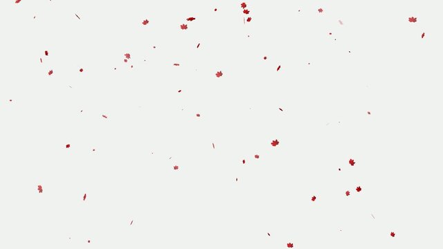 Red Abstract Particles Scattered on White Background
Minimal Red Dust Particles on Clean White Background
Abstract Red Speckles and Floating Particles