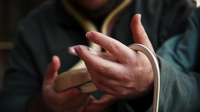 Macro close up shot of a yellow snake crawling across a man's hands.