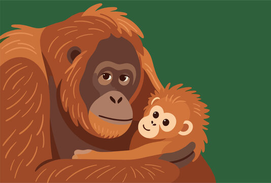 orang utan or monkey