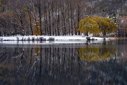 A landscape showing the first snows of winter, with golden late-autumn foliage reflected in a lake in Switzerland