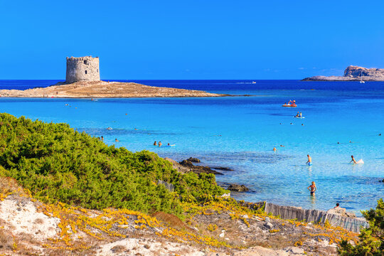 Sardinia, Italy. La Pelosa Beach with its turquoise lagoon and crystal-clear waters near Stintino.
