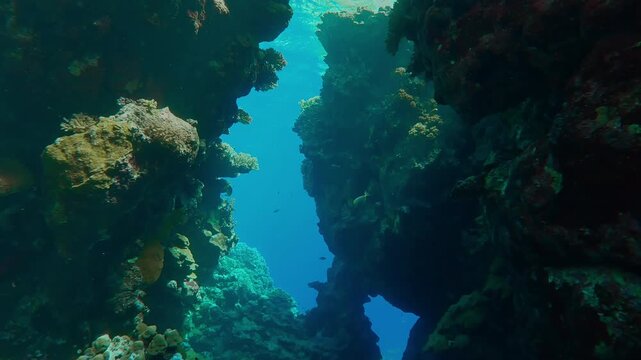 Sunlight penetrates inside a crack in a beautiful coral reef, turquoise water in the background, Panorama from bottom to top, Slow motion, Adventure and marine exploration concept