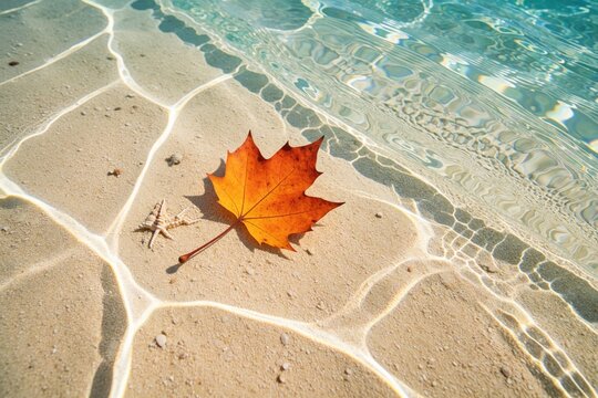 Orange maple leaf lies on sandy beach under clear tropical water. Sunlight creates bright ripple patterns on sand, sea surface. Autumn leaf meets summer ocean concept. Calm turquoise lagoon with