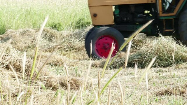 Close up of a single tractor driving in reverse on a field preparing clipped grass for baling with original audio sound. Heavy agricultural machinery moving backwards on a sunny day.