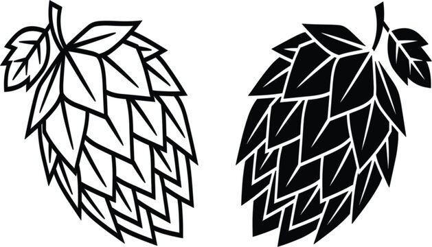 Beer hops cone graphic drawing with leaf cluster outline and dark solid shape set layout backdrop vector